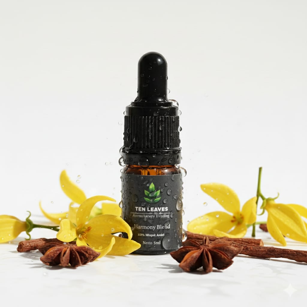 WhatsApp Image 2026-01-31 at 11.16.20 (1)